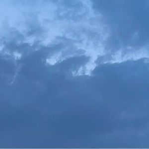 Meet your Posher, Krystal